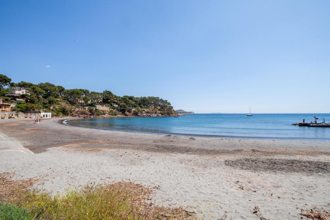 T2 - La Seyne Sur Mer - Fabregas Dış mekan fotoğraf