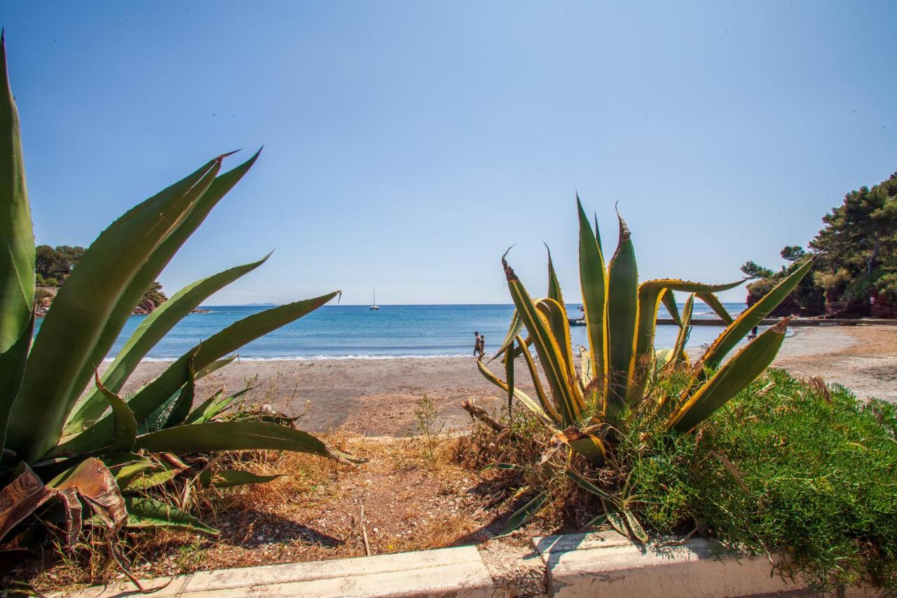 T2 - La Seyne Sur Mer - Fabregas Dış mekan fotoğraf